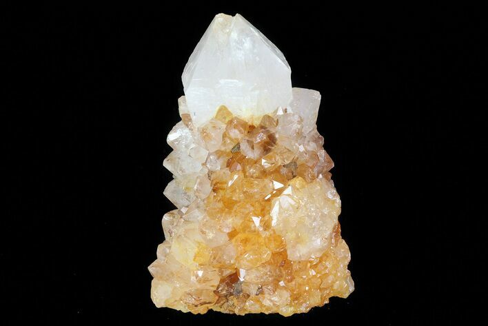 Sunshine Cactus Quartz Crystal - South Africa #80185